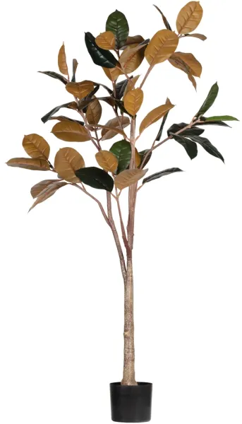 Gummibaum, Künstliche Pflanze, grün, H170x106x63 cm